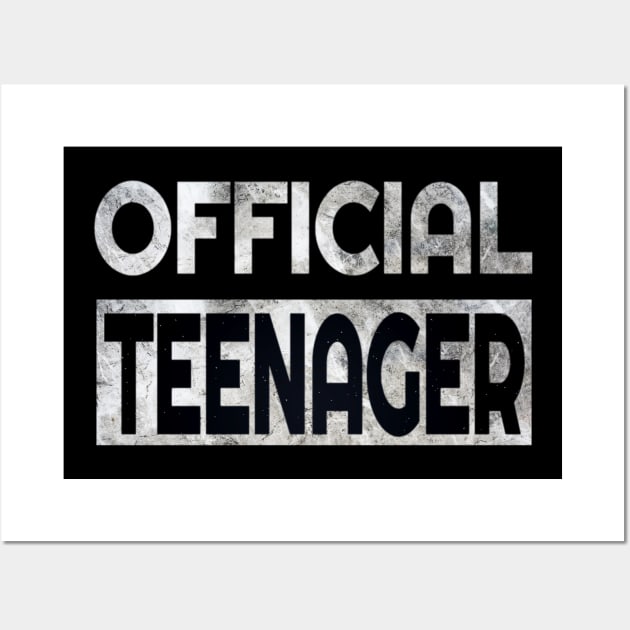 Official Teenager T-Shirt 13th Birthday Tee for Boys Girls Wall Art by Grabitees